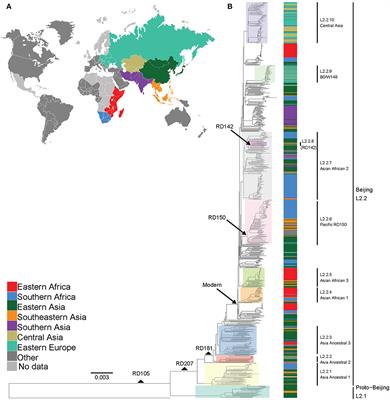 Multiple Introductions of Mycobacterium tuberculosis Lineage 2–Beijing Into Africa Over Centuries